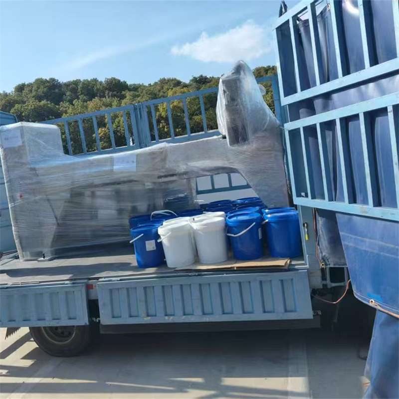 奉贤区大路镇：物流运输的多元魅力与实践探索