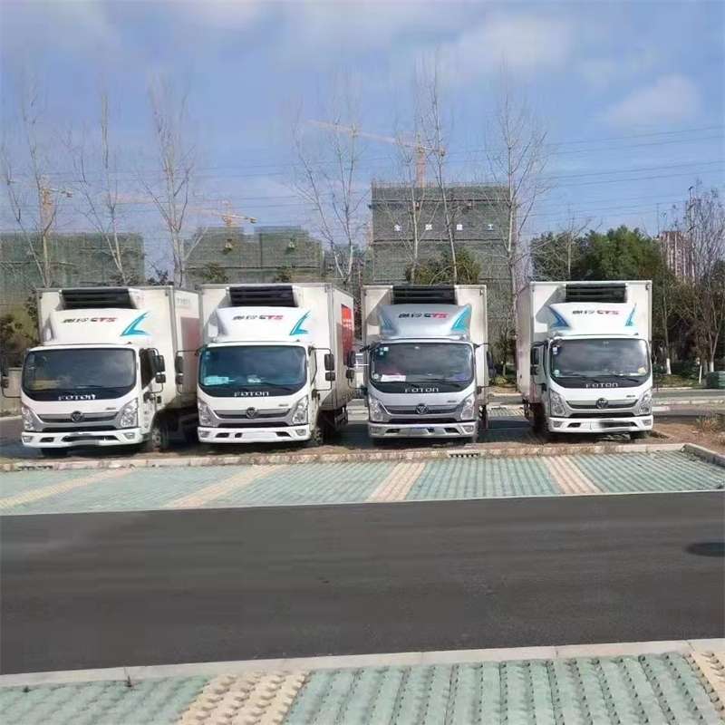 奉贤区探秘东升镇多元物流服务与运输线路