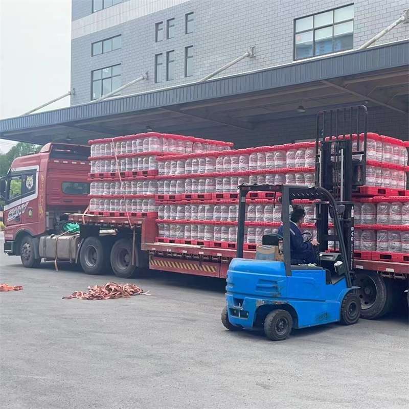 奉贤区南城街道物流：多元服务与运输线路探秘