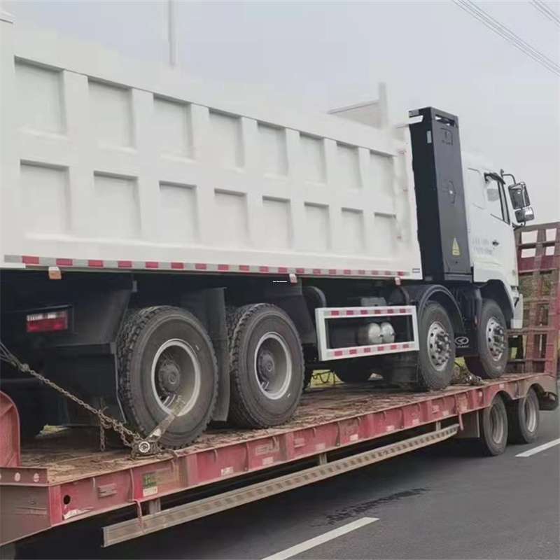 奉贤区鼎城区物流：多元服务与高效运输线路探秘