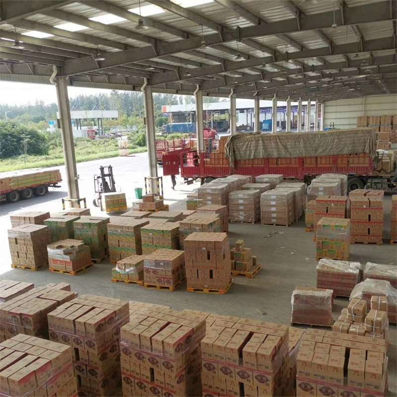 奉贤区滁州物流：多样运输服务与线路探秘