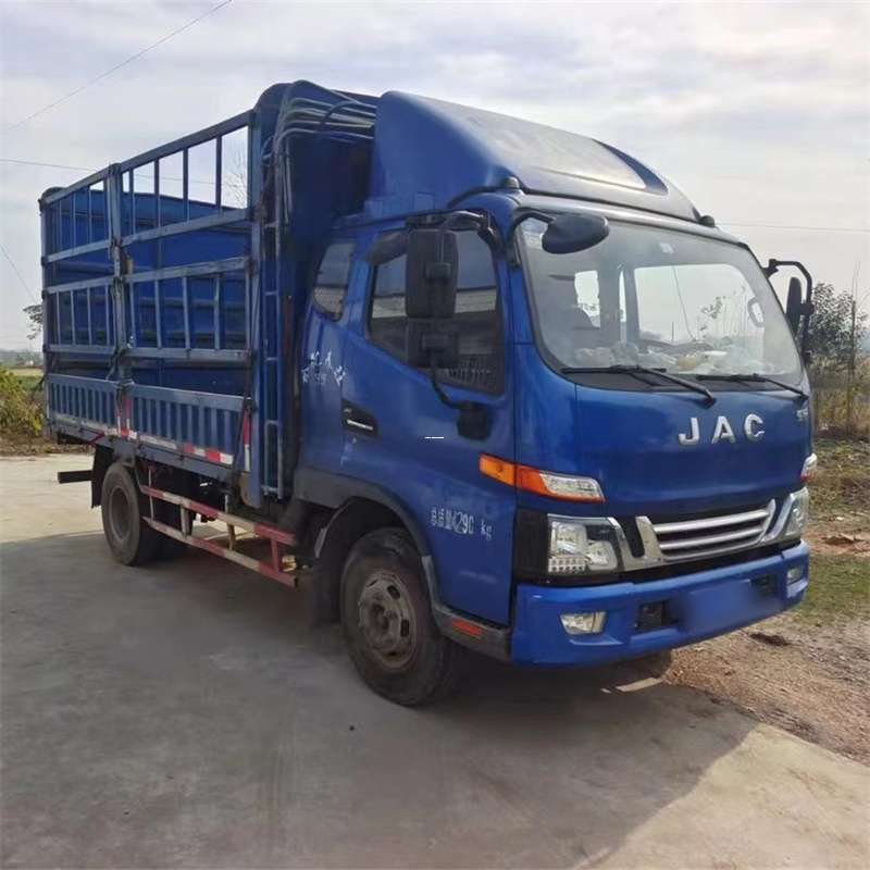 奉贤区镜湖区物流：多元运输服务的精彩画卷