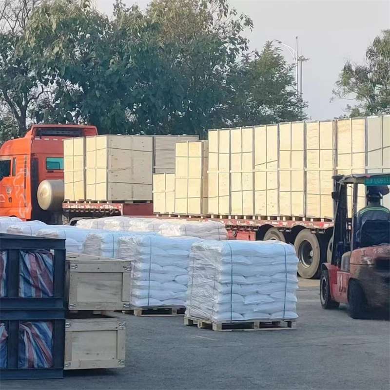 奉贤区探秘多元货运：从冷链到大件的物流世界