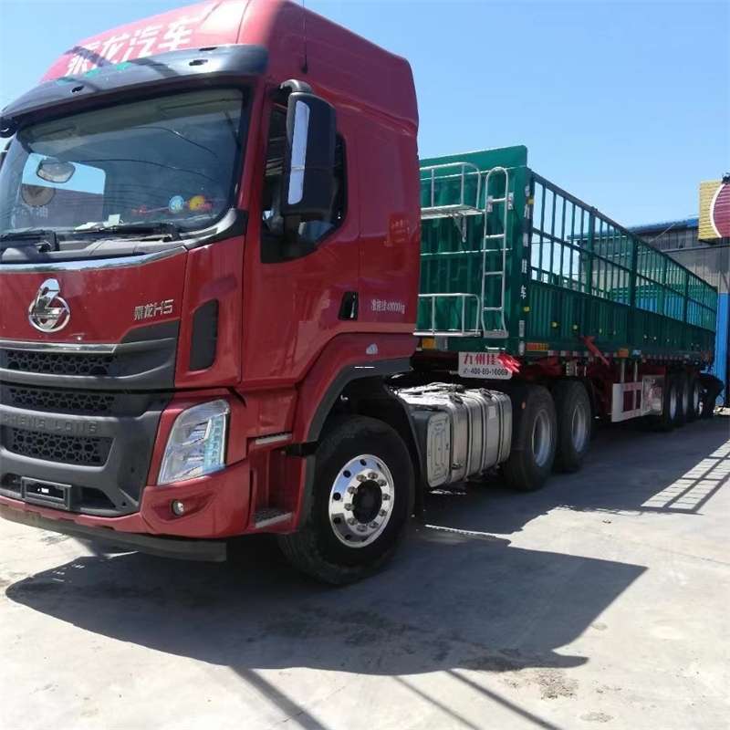 奉贤区探索多元化物流服务：从普货到冷链的运输之旅