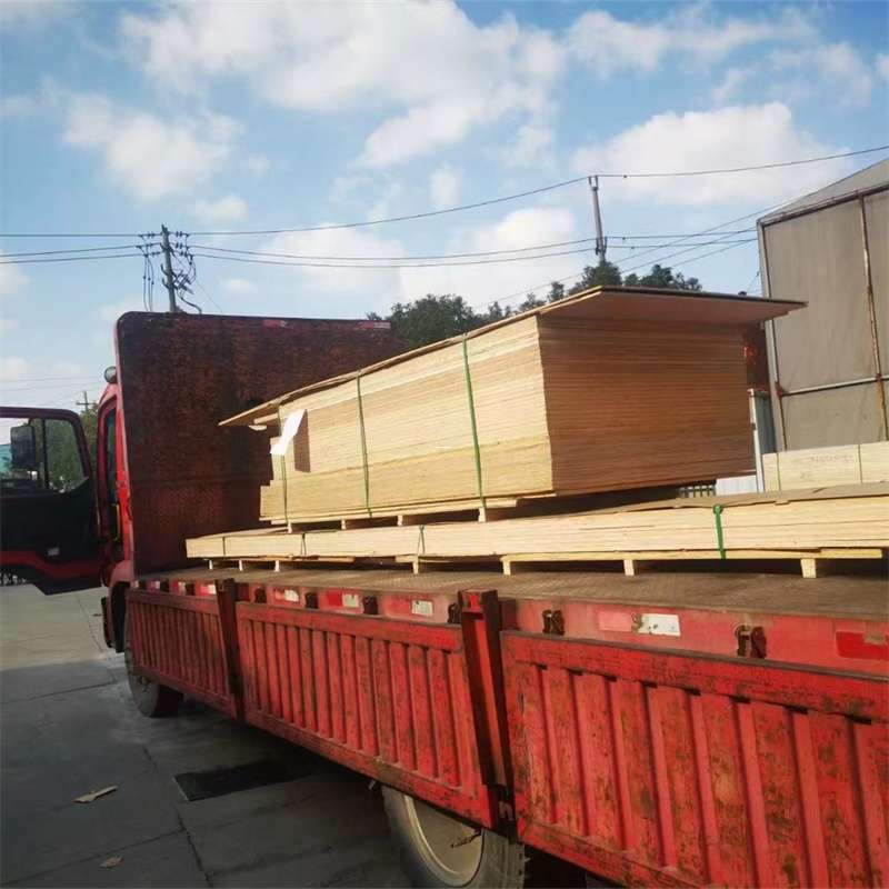 奉贤区桥西区物流专线的多元运输世界