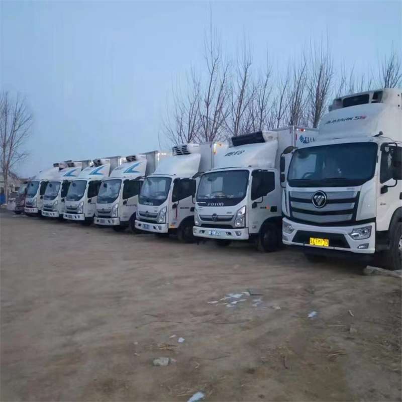 奉贤区巩留县物流运输：专线直达与多样服务探索