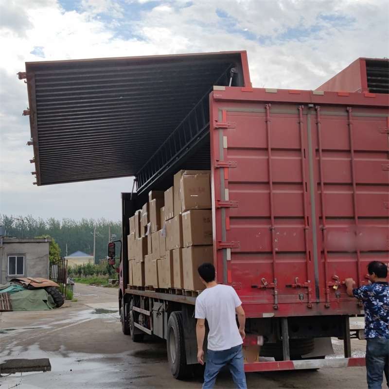 奉贤区扎囊县：物流专线的高效货运之旅