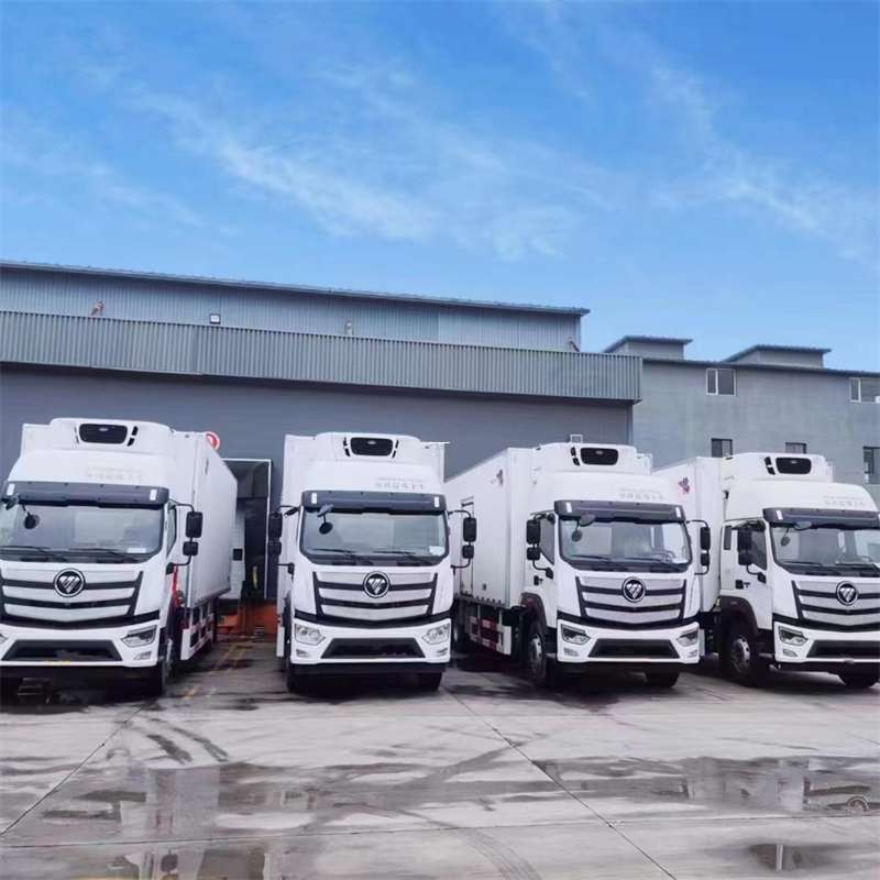 奉贤区新龙县进仓物流：多元专线直达运输探秘