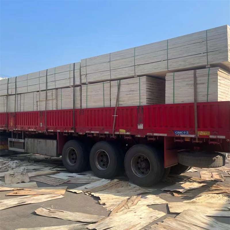 奉贤区岑巩县物流：多元服务与高效运输线路探秘